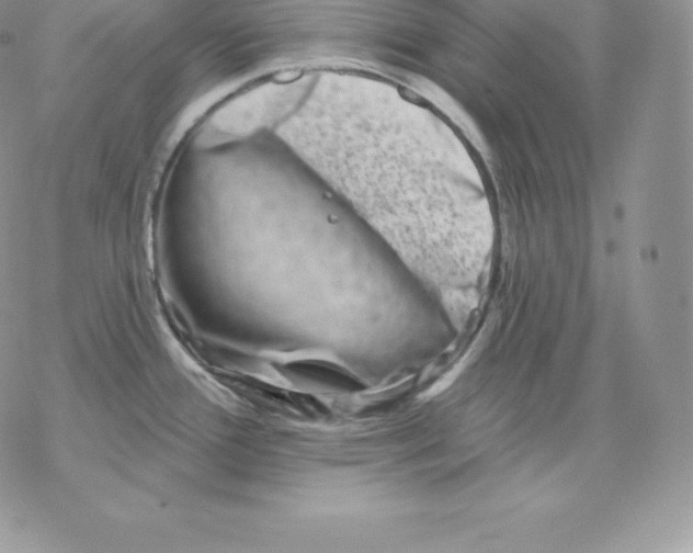 X0000077321388200611171731