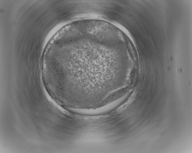 X0000077321389200611171731