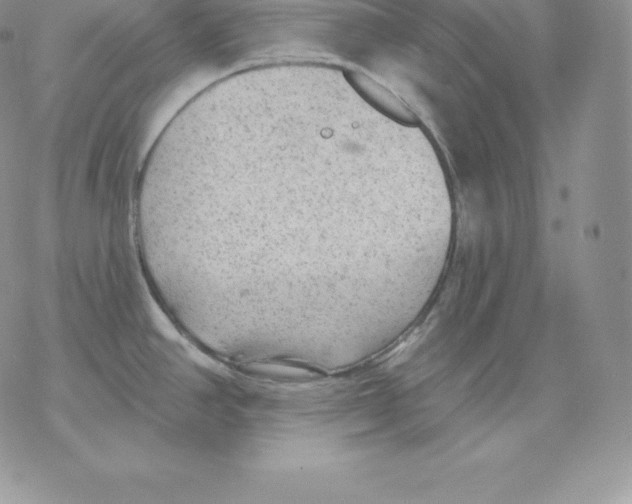 X0000077321390200611171731