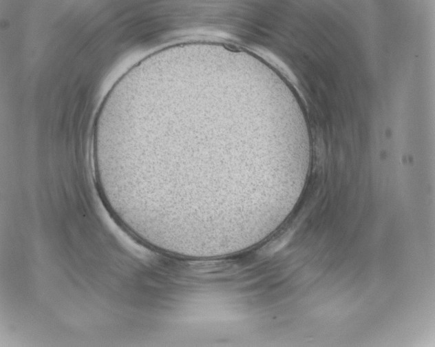 X0000077321391200611171731