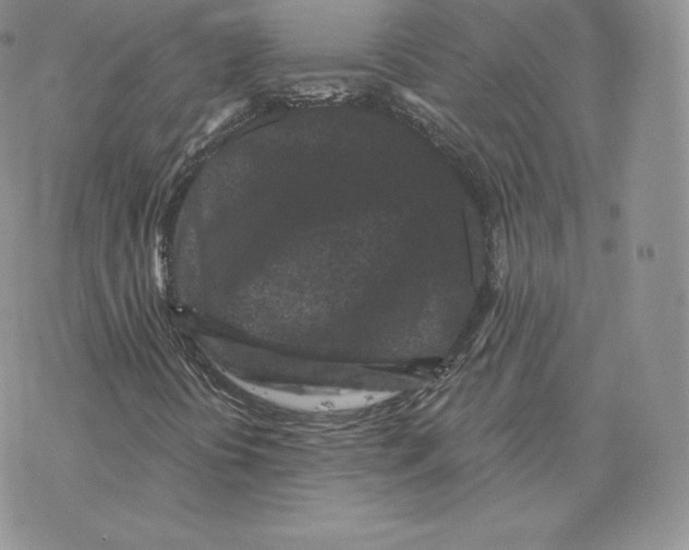 X0000077321394200611171731