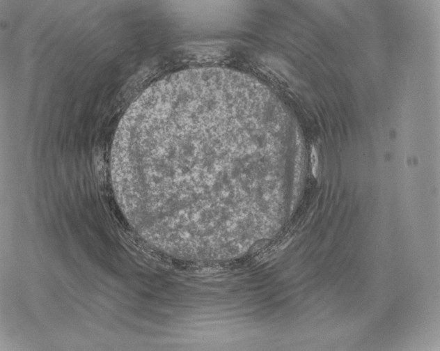 X0000077321395200611171731