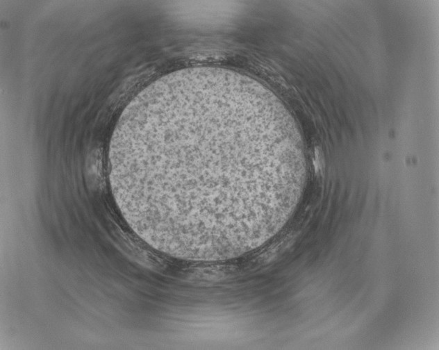 X0000077321396200611171731