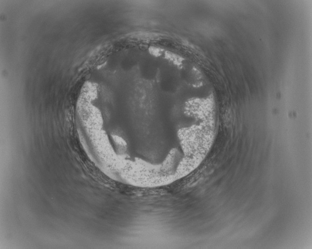 X0000077321397200611171731