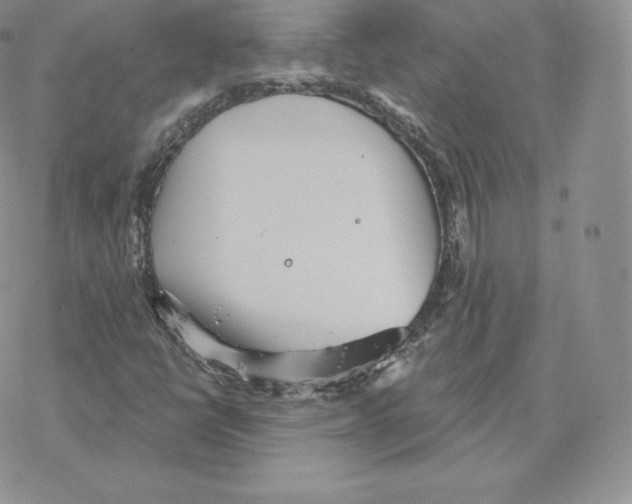 X0000077321398200611171731