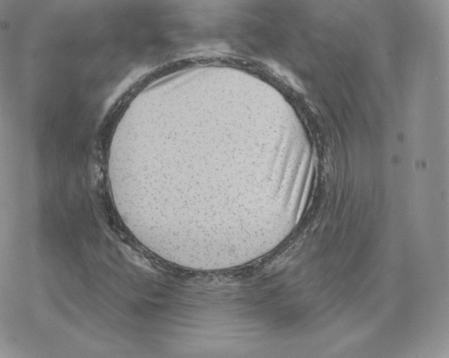 X0000077321400200611171731