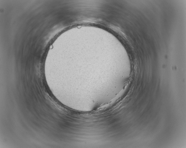 X0000077321404200611171731