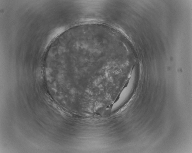 X0000077321405200611171731