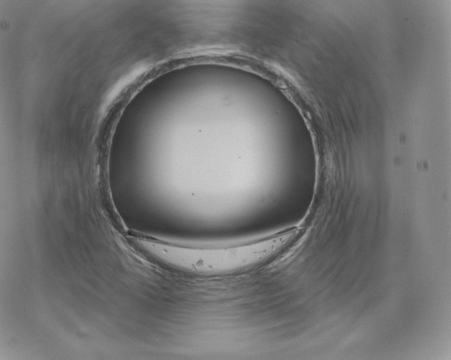 X0000077321406200611171731