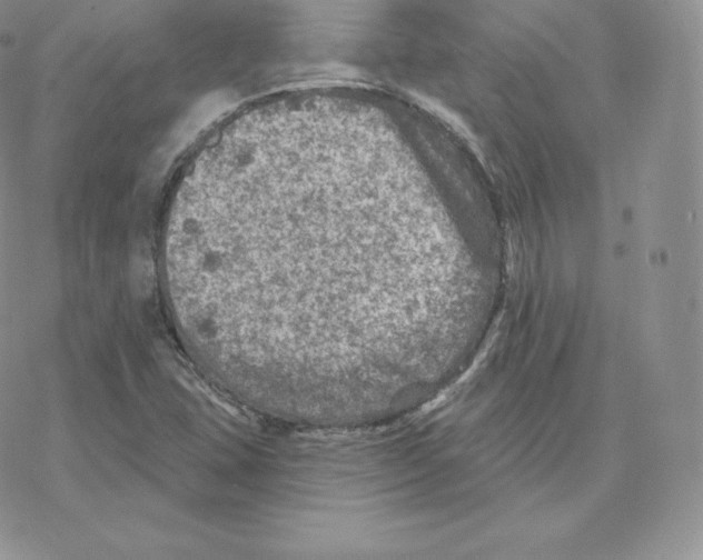 X0000077321407200611171731