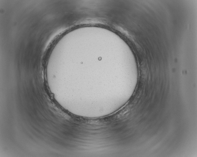 X0000077321408200611171731