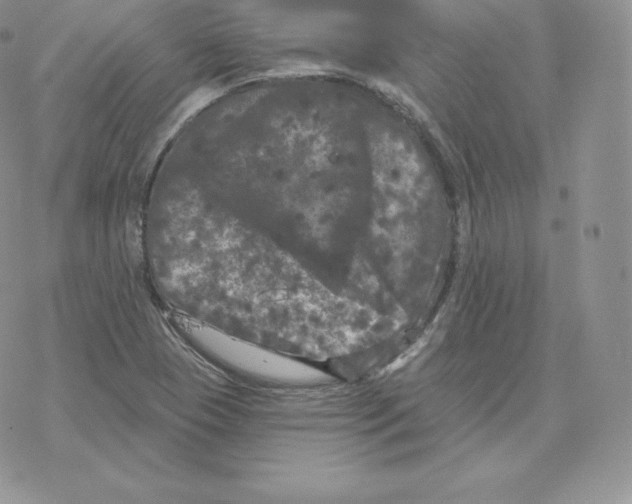 X0000077321409200611171731