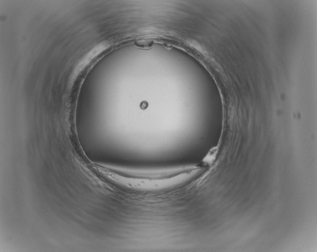 X0000077321410200611171731