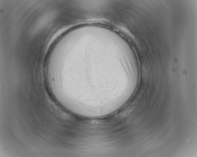 X0000077321412200611171731