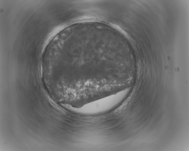 X0000077321413200611171731