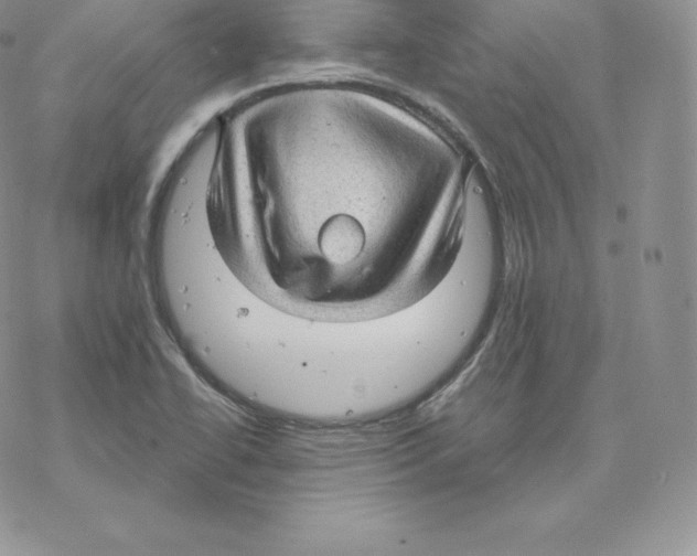 X0000077321414200611171731