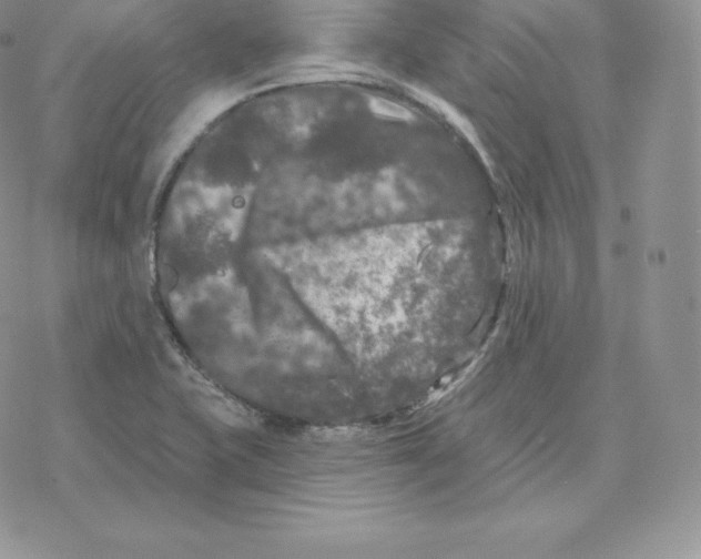 X0000077321415200611171731