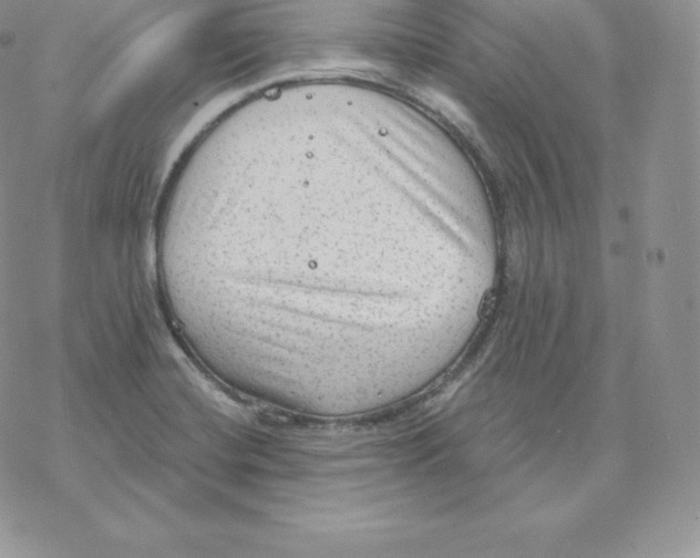 X0000077321420200611171731