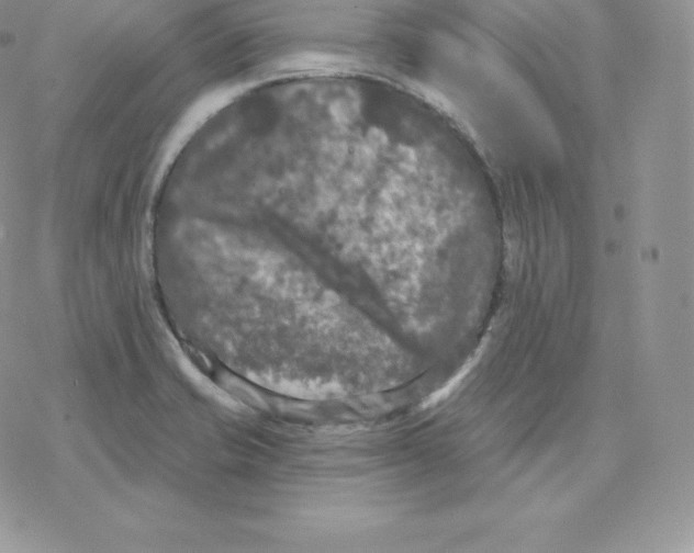 X0000077321421200611171731