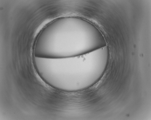 X0000077321422200611171731