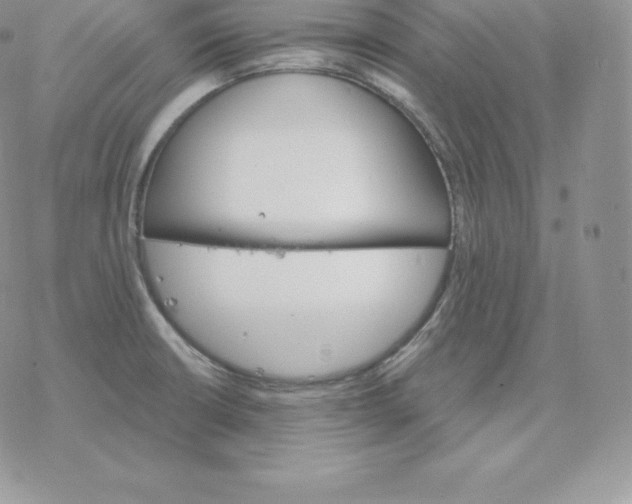 X0000077321426200611171731