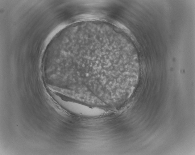 X0000077321427200611171731