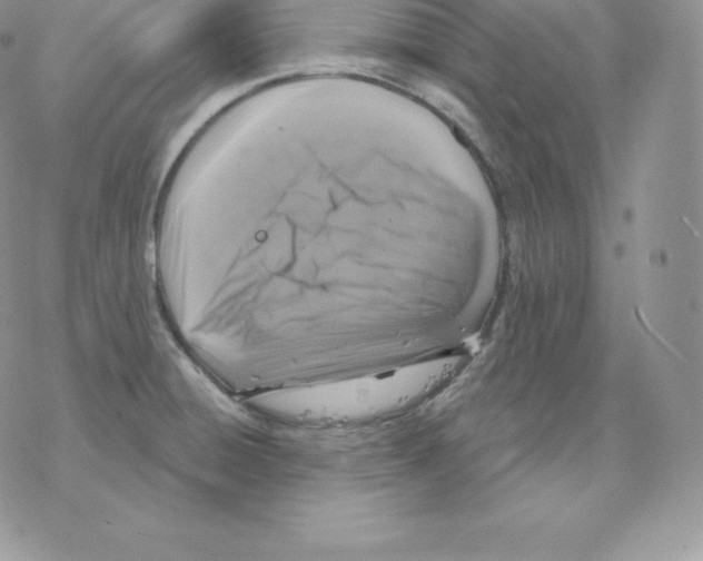 X0000077321428200611171731