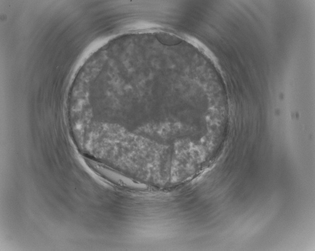 X0000077321429200611171731