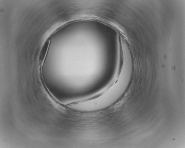 X0000077321430200611171731