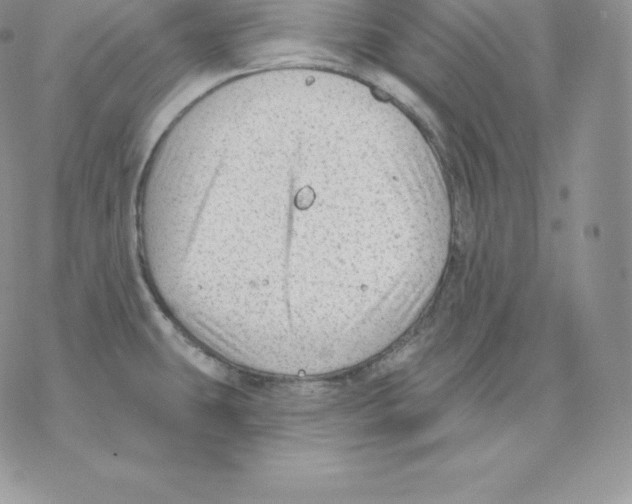 X0000077321431200611171731