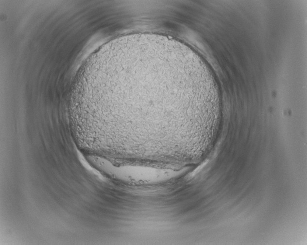 X0000077321433200611171731