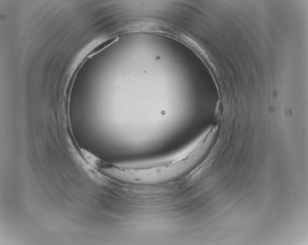 X0000077321434200611171731