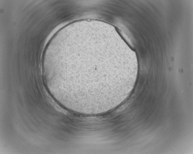 X0000077321436200611171731