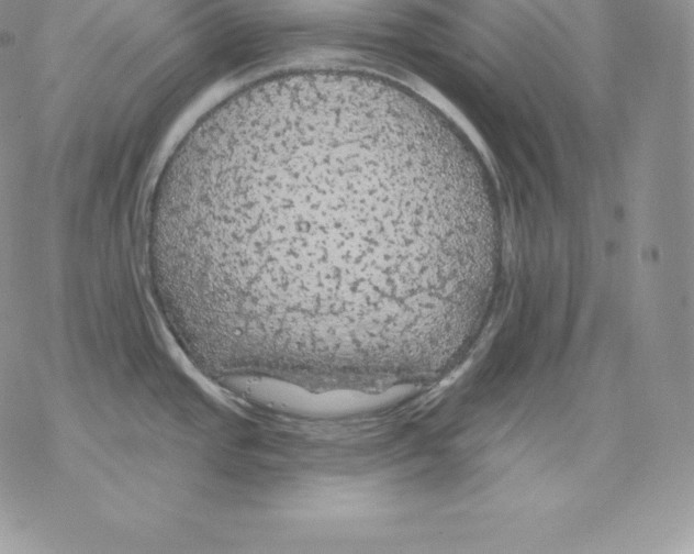 X0000077321437200611171731