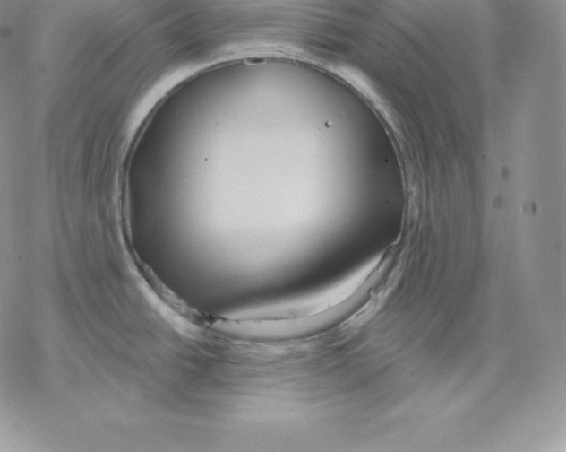 X0000077321438200611171731