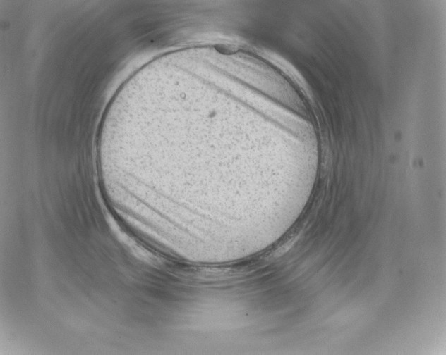 X0000077321439200611171731