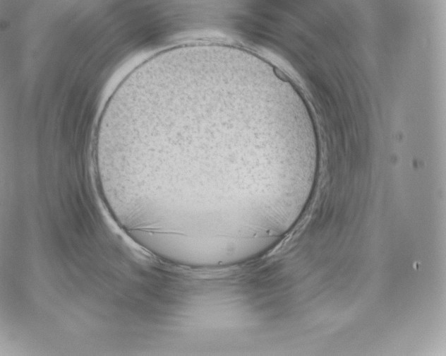 X0000077321440200611171731