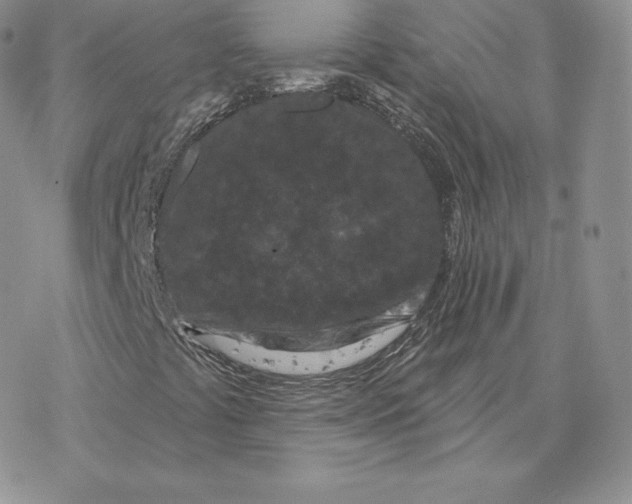 X0000077321441200611171731