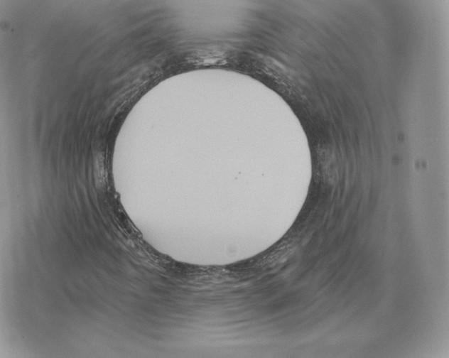 X0000077321442200611171731