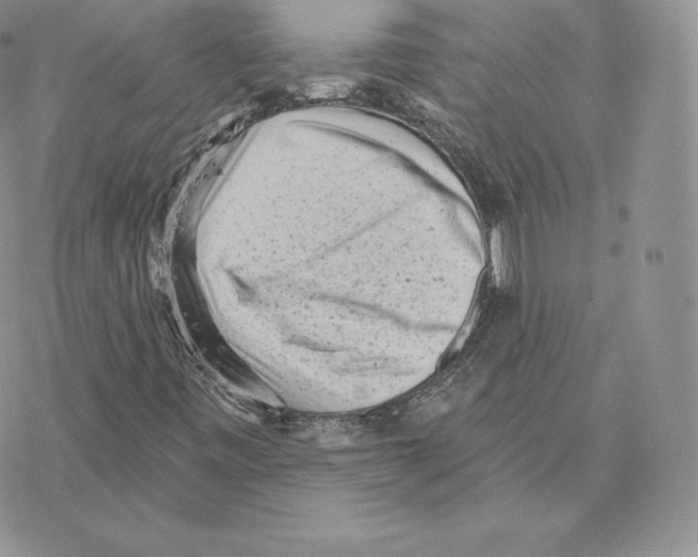 X0000077321443200611171730