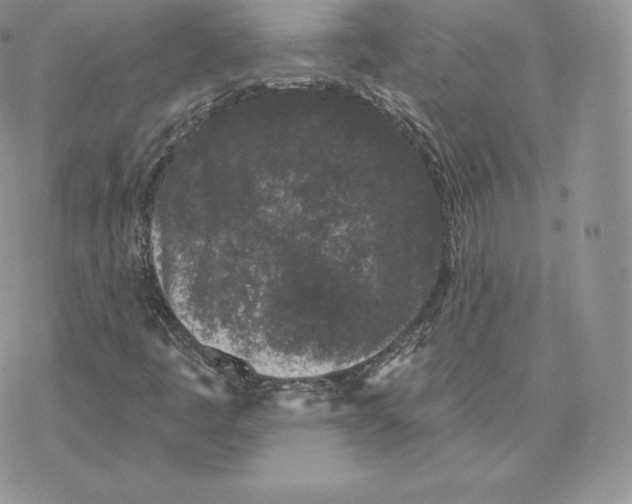 X0000077321445200611171730