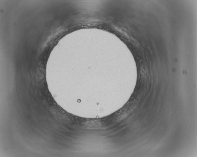 X0000077321447200611171730