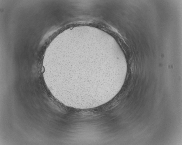 X0000077321448200611171730