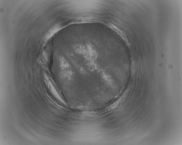 X0000077321449200611171730