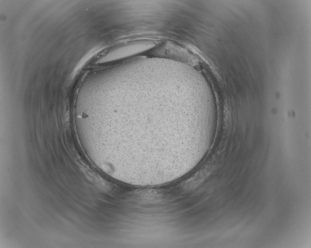 X0000077321450200611171730