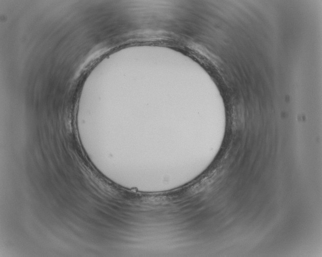 X0000077321451200611171730