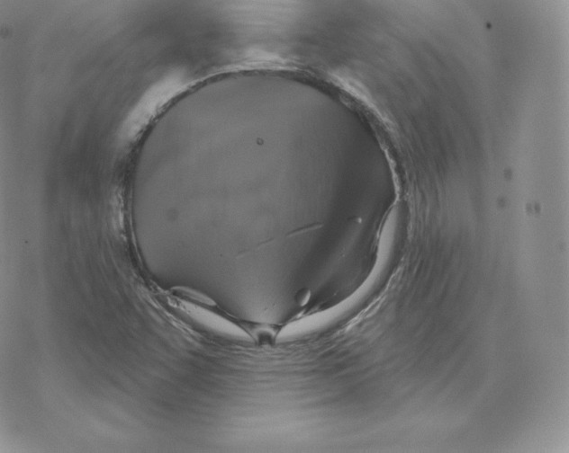 X0000077321455200611171730