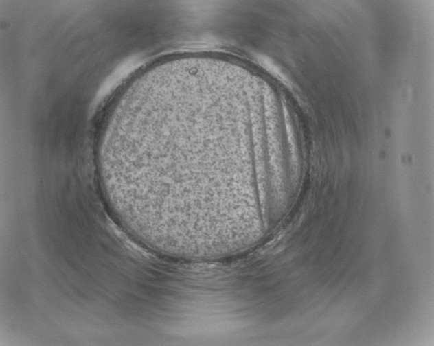 X0000077321456200611171730