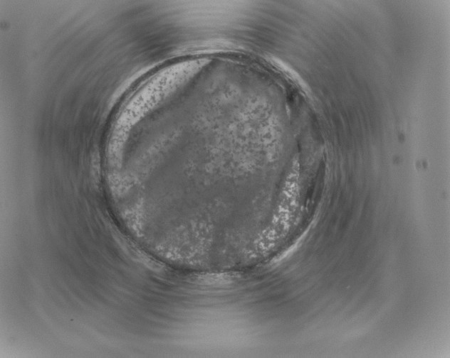 X0000077321457200611171730