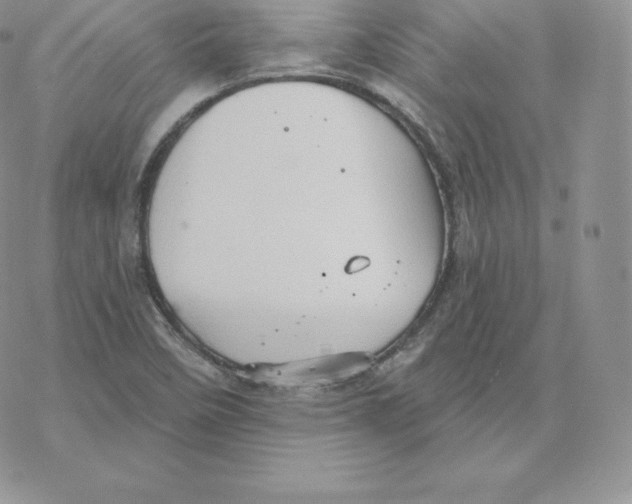 X0000077321458200611171730